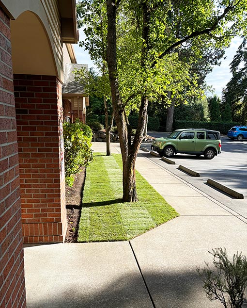 MeansLandscape-LandscapingServicesAbout1 MeansLandscape-LandscapingServicesAbout1